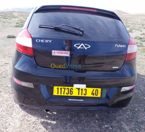 Chery Fulwin 2013 