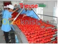 Ligne fabrication de purée de tomate