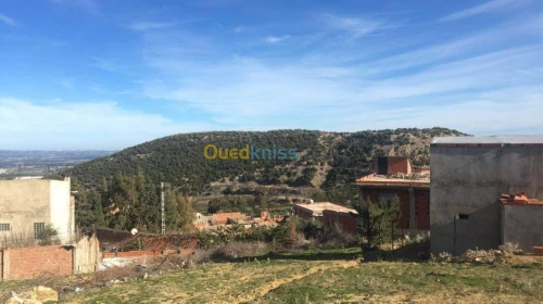 Vente Terrain Blida Ain romana