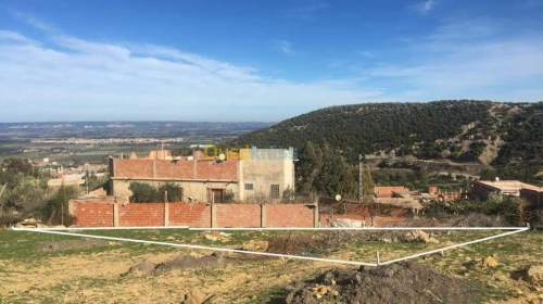 Vente Terrain Blida Ain romana