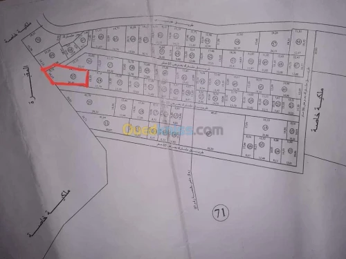 Vente Terrain Blida Ain romana