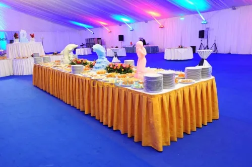 ORGANISATION D’EVENEMENT D’ENTREPRISES