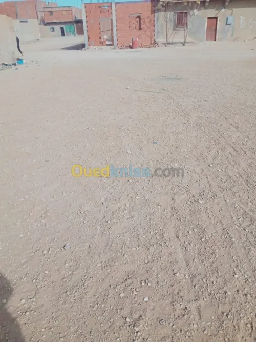 Vente Terrain Djelfa Ain oussara