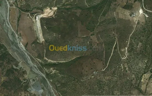 Vente Terrain Agricole Bejaia Amizour