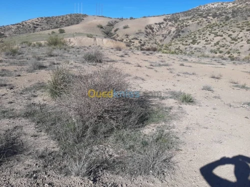 Vente Terrain Agricole Setif Bougaa