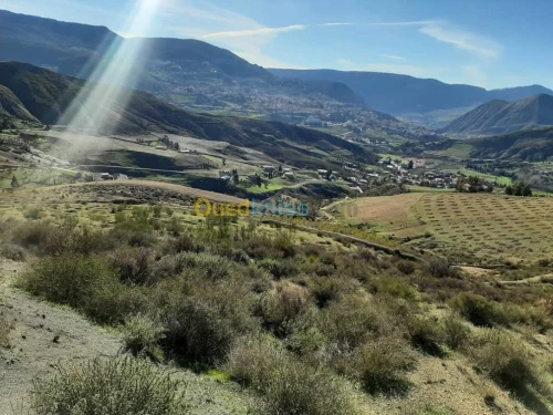 Vente Terrain Agricole Setif Bougaa