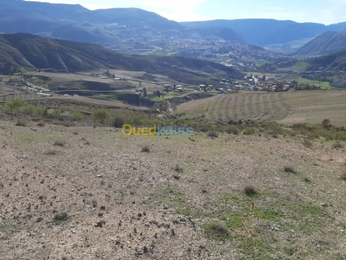 Vente Terrain Agricole Setif Bougaa