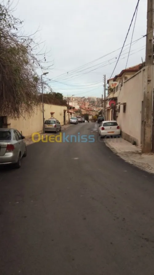 Vente Villa Alger El biar
