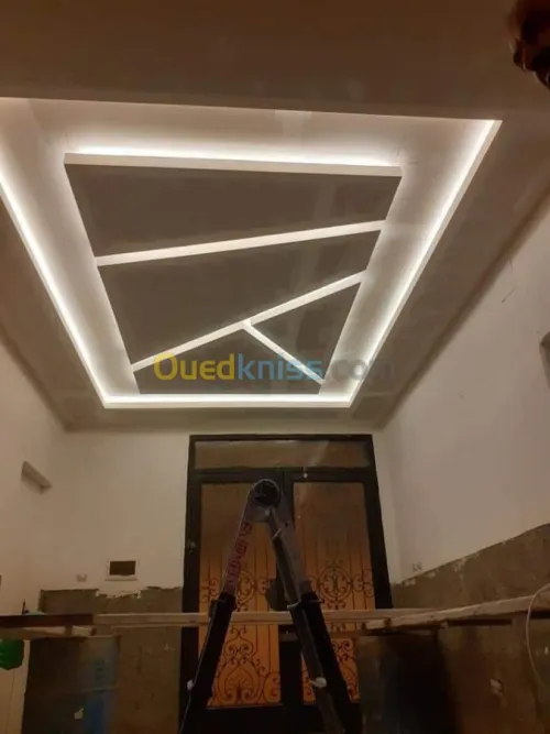 Artisan placoplatre BA13