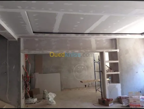 Artisan placoplatre BA13