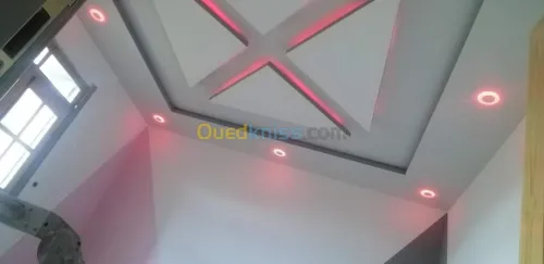 Artisan placoplatre BA13