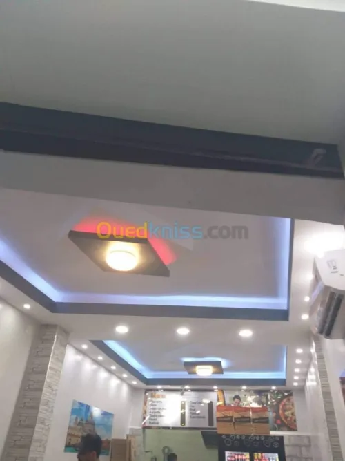 Artisan placoplatre BA13