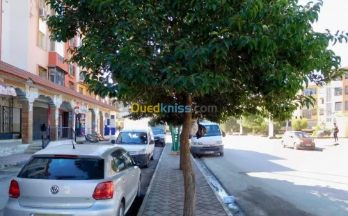 Location Local Tipaza Hadjout