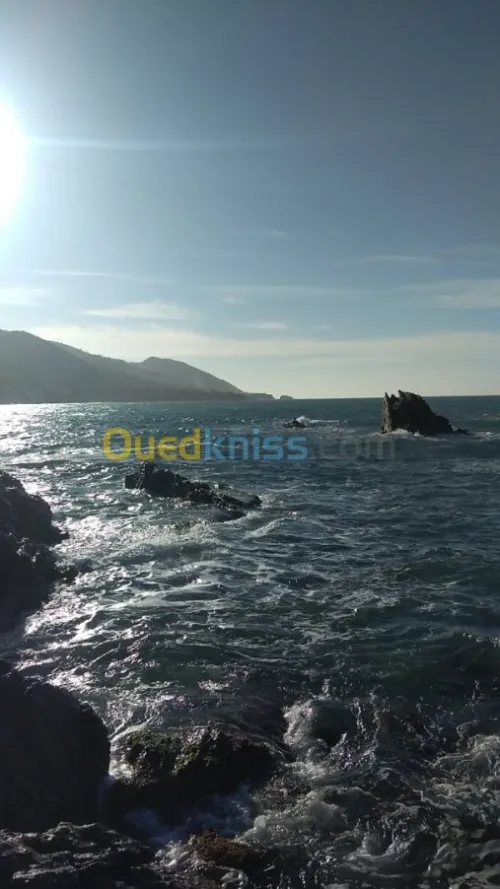 Vente Carcasse Tipaza Tipaza