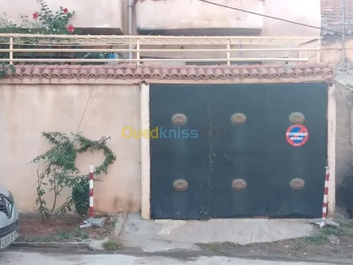 Vente Niveau De Villa F3 Tipaza Bou ismail