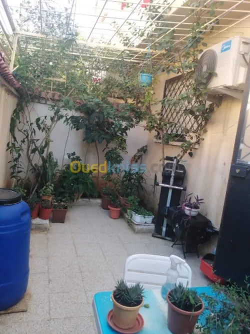 Vente Niveau De Villa F3 Tipaza Bou ismail