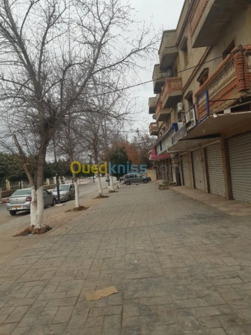 Location Local Ain defla Ain defla