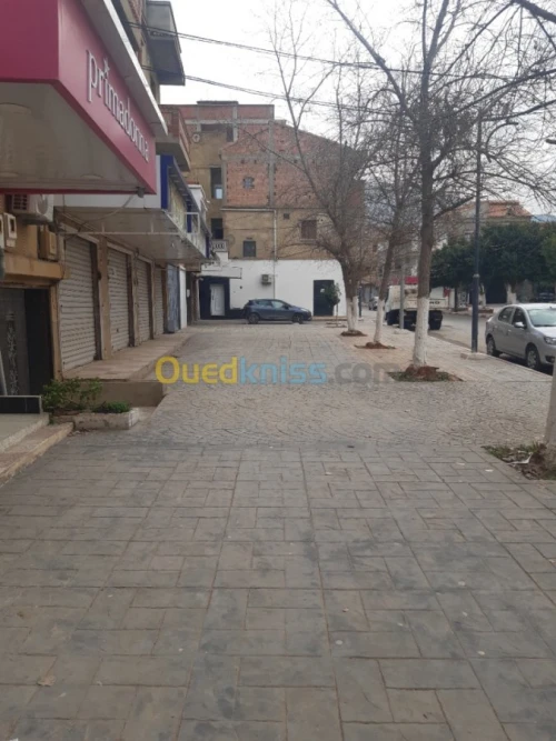 Location Local Ain defla Ain defla