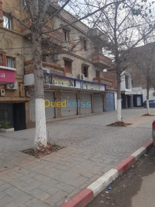 Location Local Ain defla Ain defla