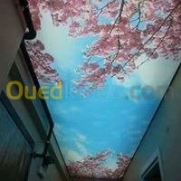 3D