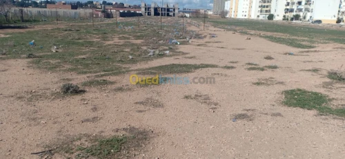 Vente Terrain Sidi bel abbes Sidi bel abbes