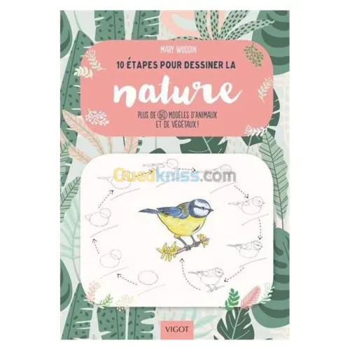 10 étapes pour dessiner la nature