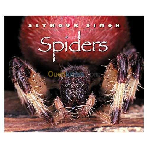 Spiders