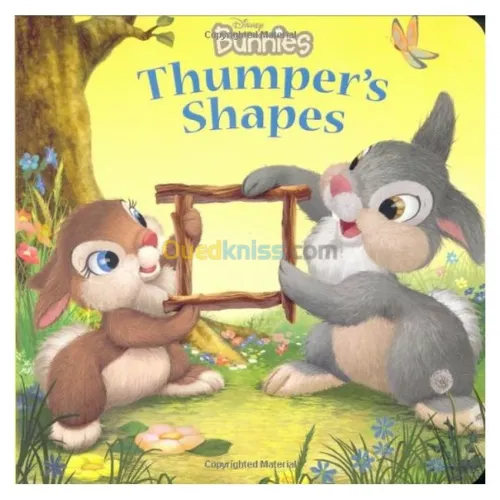 Disney Bunnies: Thumper's Shapes