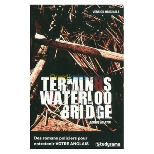 Terminus waterloo bridge