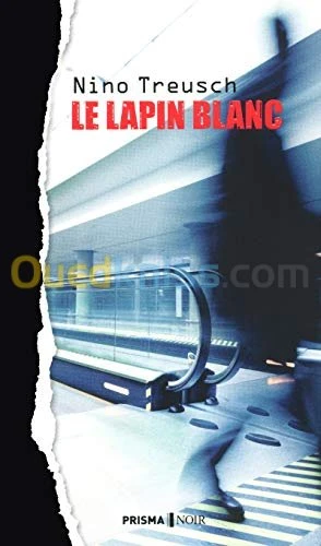 Le lapin blanc, Roman