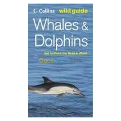 Whales and Dolphins