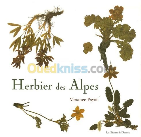 Herbier des Alpes