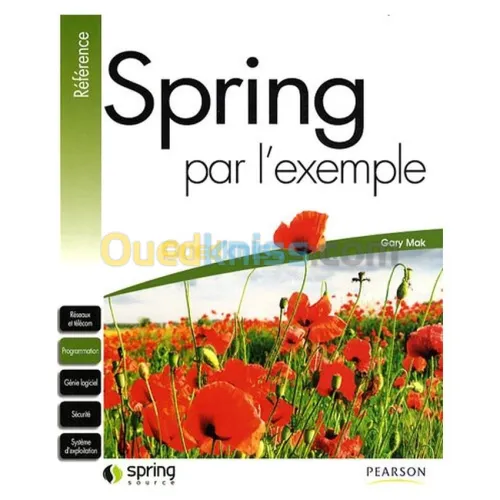 Spring par l'exemple