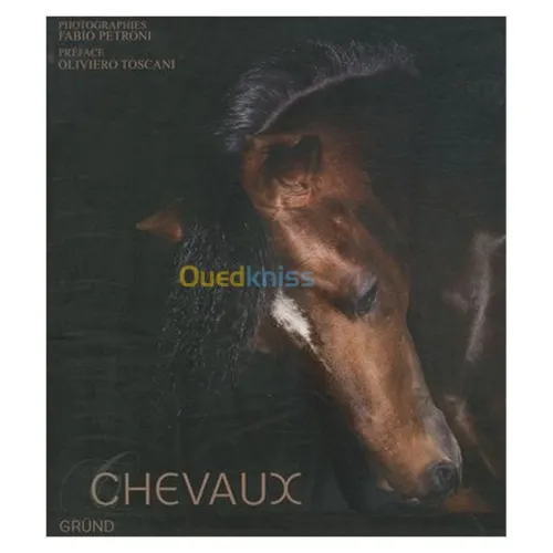 Chevaux