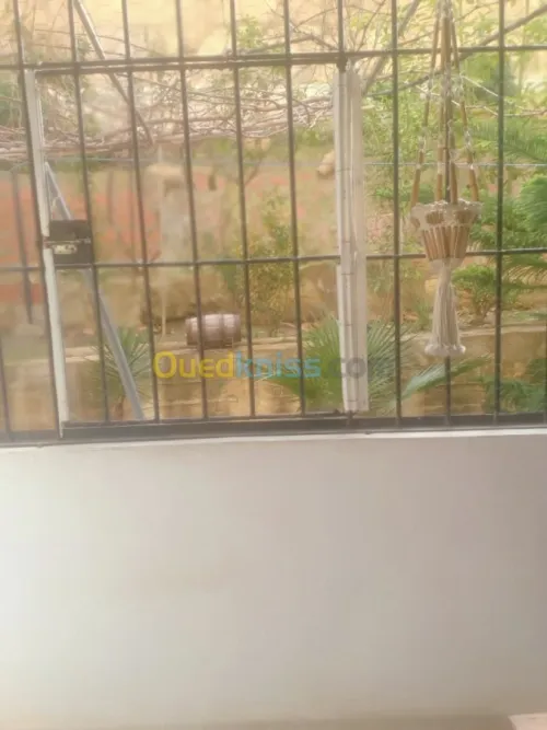 Vente Appartement F3 Skikda Skikda