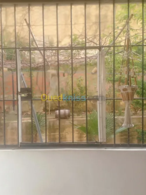 Vente Appartement F3 Skikda Skikda