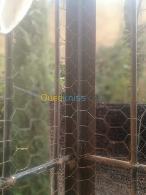 Vente Appartement F3 Skikda Skikda