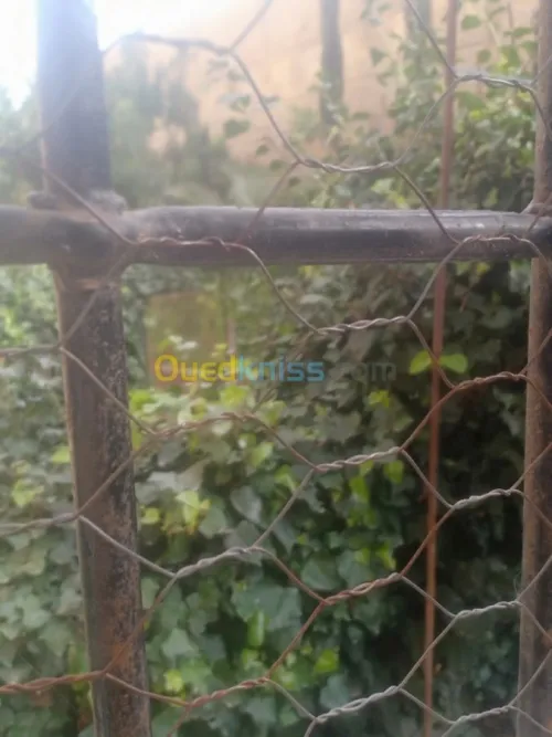 Vente Appartement F3 Skikda Skikda