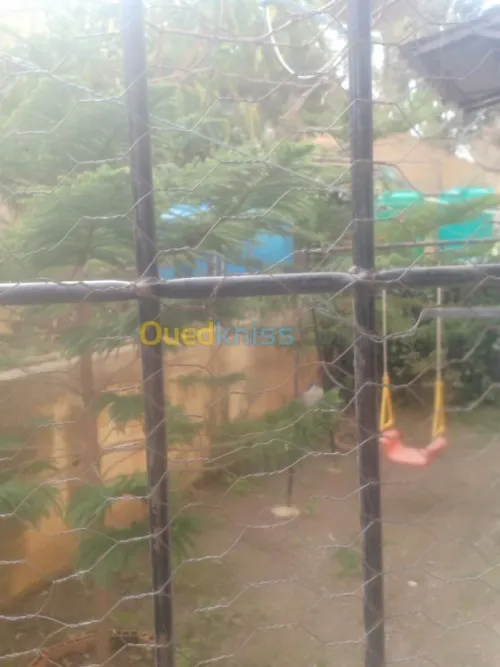 Vente Appartement F3 Skikda Skikda