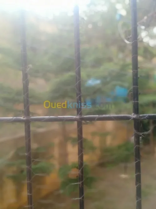 Vente Appartement F3 Skikda Skikda