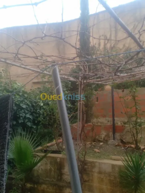 Vente Appartement F3 Skikda Skikda