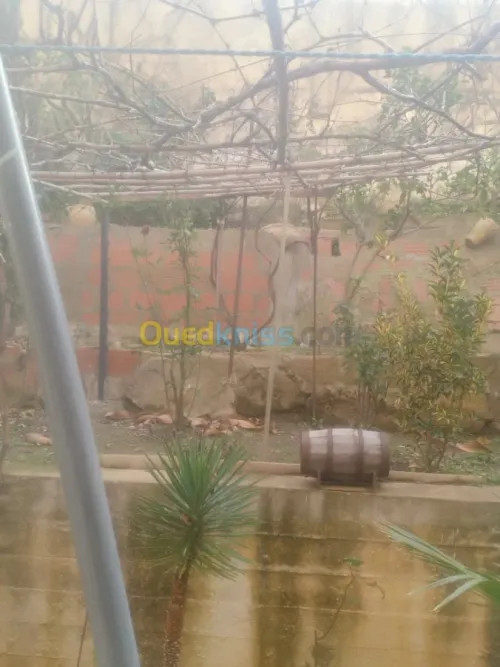 Vente Appartement F3 Skikda Skikda