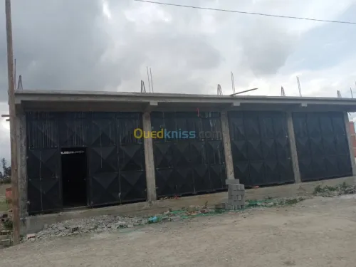 Location Hangar Blida Blida