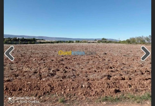 Vente Terrain Batna Ouyoun el assafir