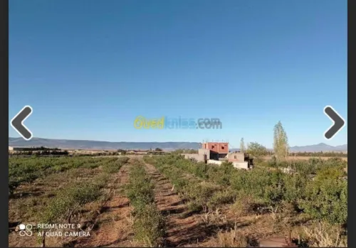 Vente Terrain Batna Ouyoun el assafir