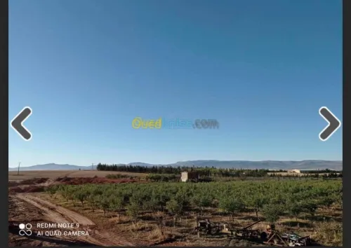 Vente Terrain Batna Ouyoun el assafir