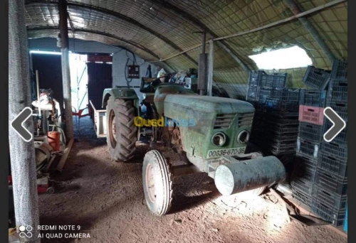 Vente Terrain Batna Ouyoun el assafir