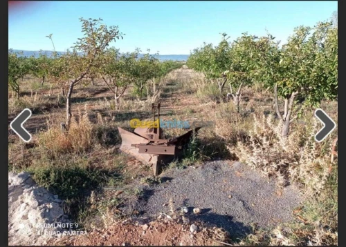 Vente Terrain Batna Ouyoun el assafir