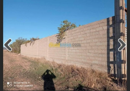 Vente Terrain Batna Ouyoun el assafir