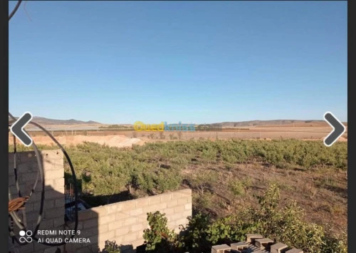 Vente Terrain Batna Ouyoun el assafir